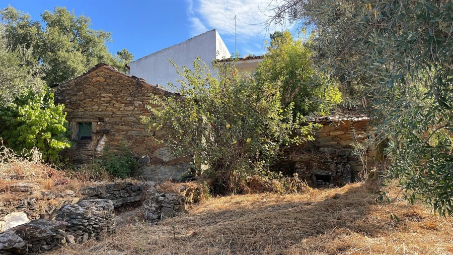 Moradia T4 para Venda em Sarzedas Foto 2