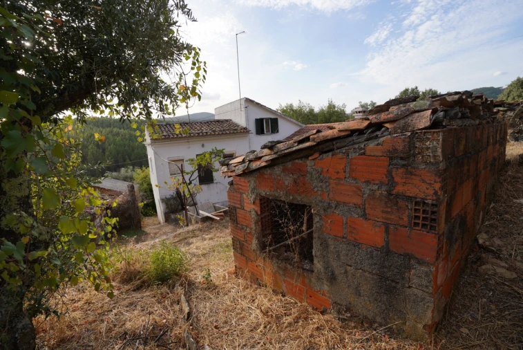 Moradia T4 para Venda em Sarzedas Foto 12