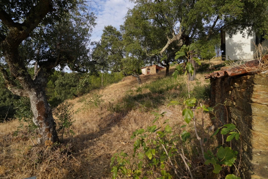 Moradia T4 para Venda em Sarzedas Foto 42