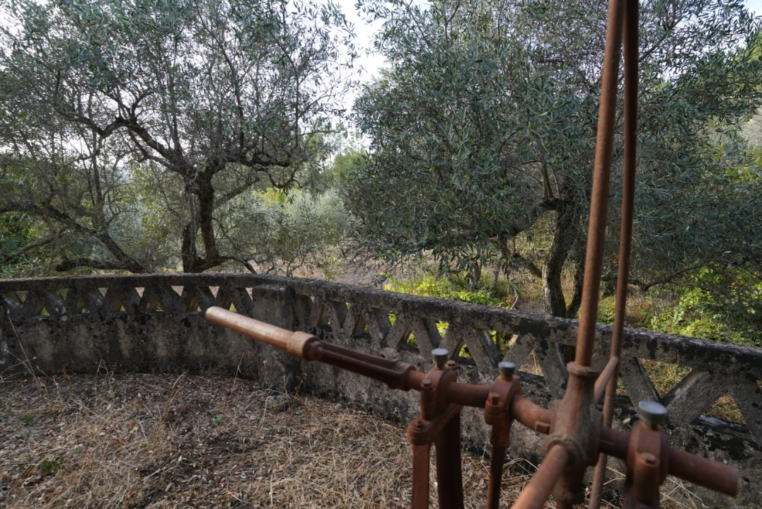 Moradia T4 para Venda em Sarzedas Foto 47