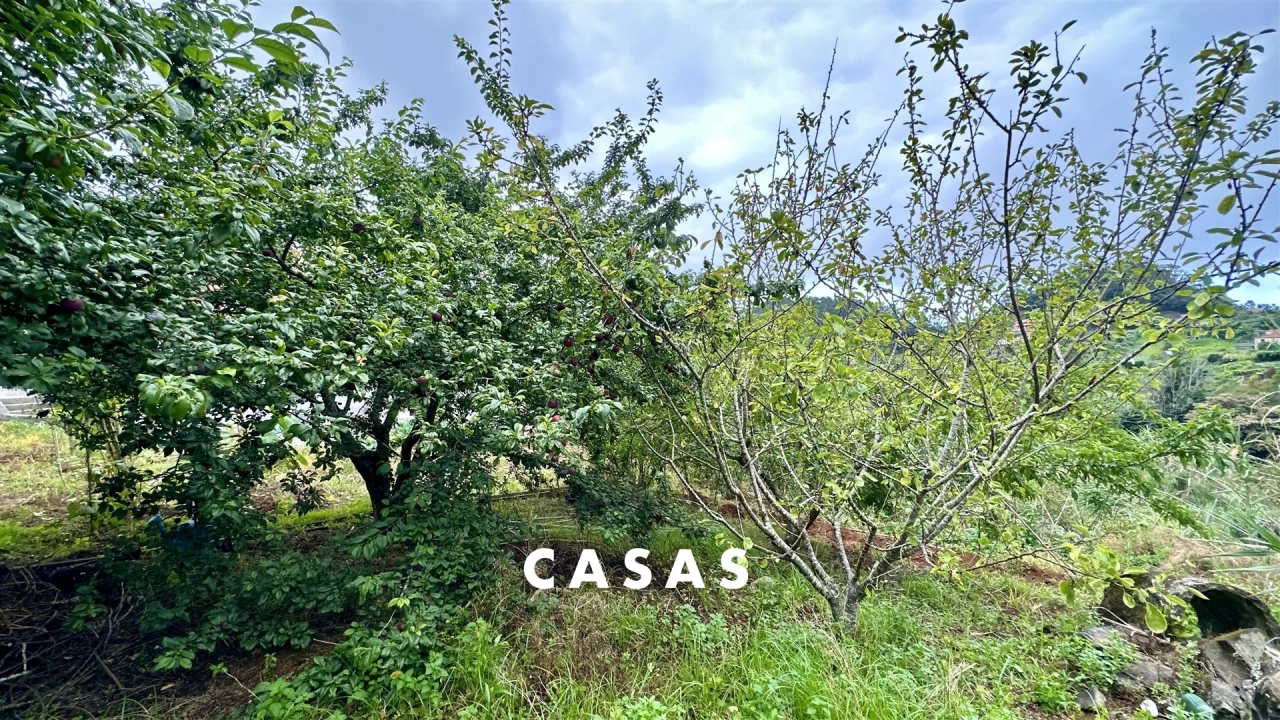 Moradia T2 para Venda em Santana Foto 7