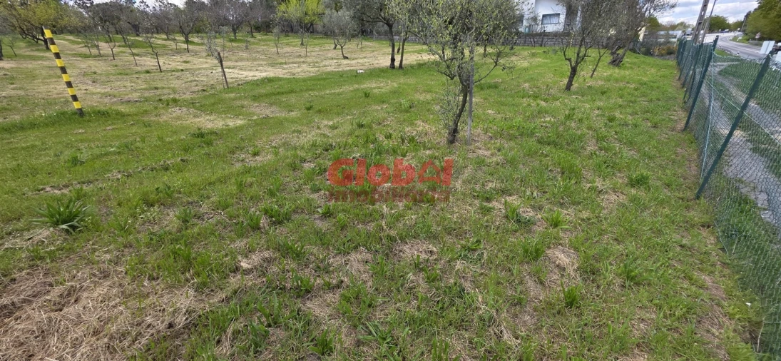 Terreno para Venda em Cavernães Foto 2