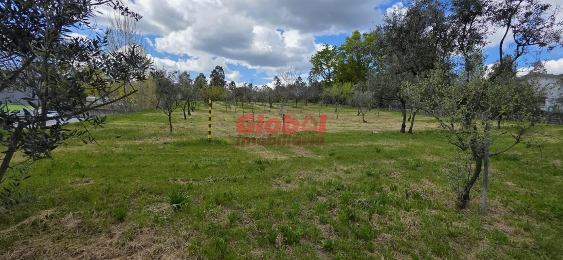 Terreno para Venda em Cavernães Foto 4