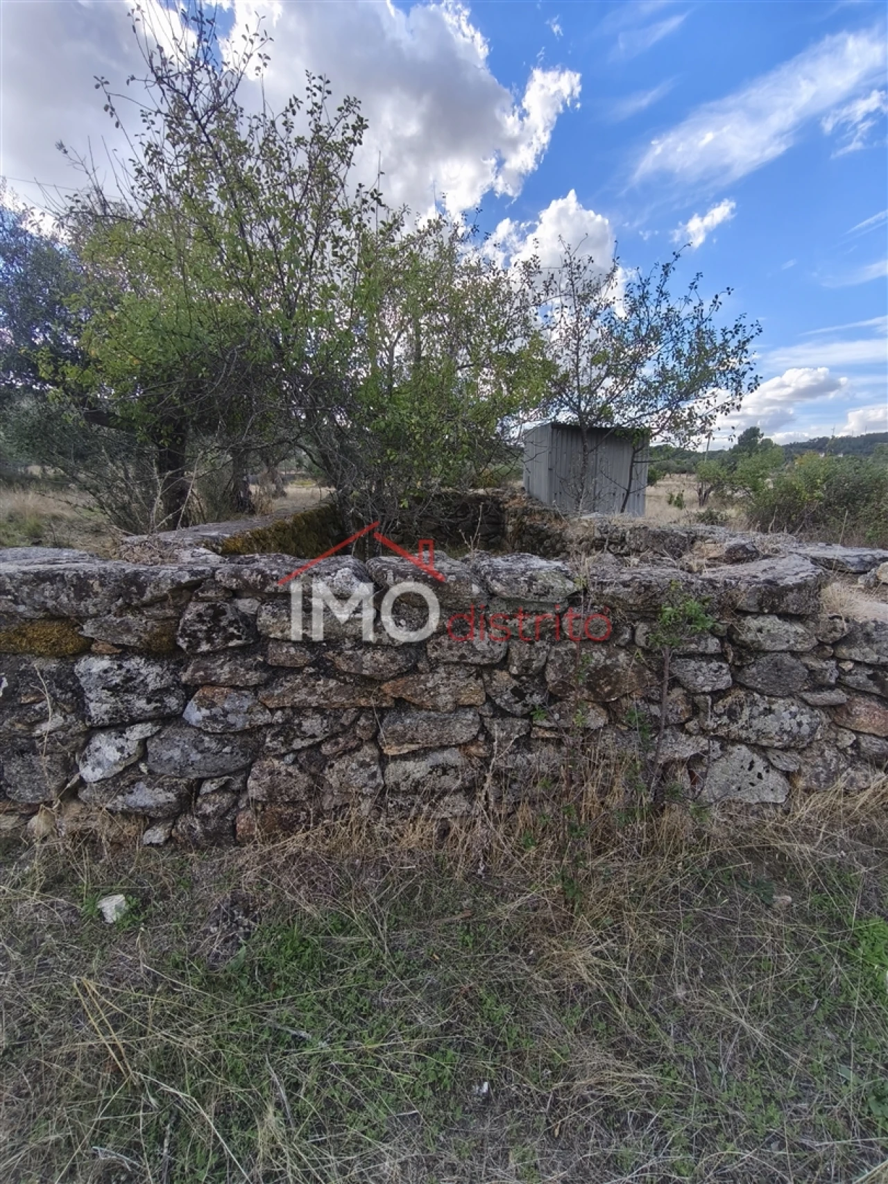 Quinta T0 para Venda em Sé e São Lourenço Foto 14