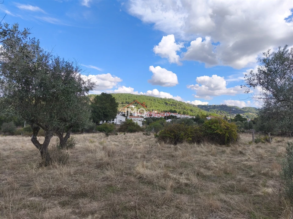 Quinta T0 para Venda em Sé e São Lourenço Foto 7