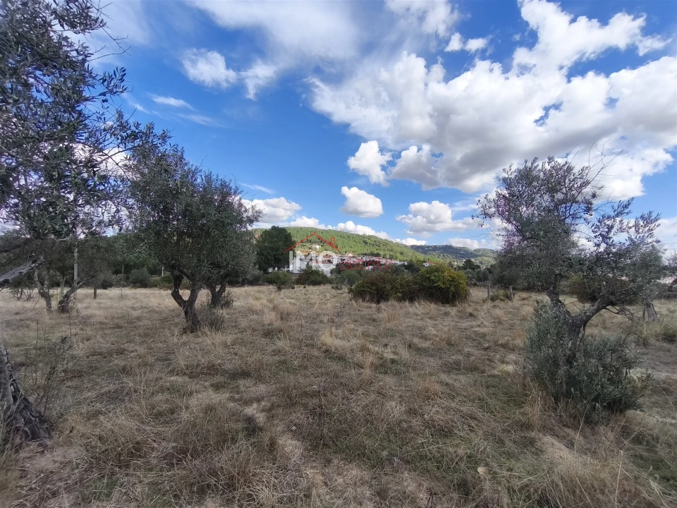 Quinta T0 para Venda em Sé e São Lourenço Foto 6