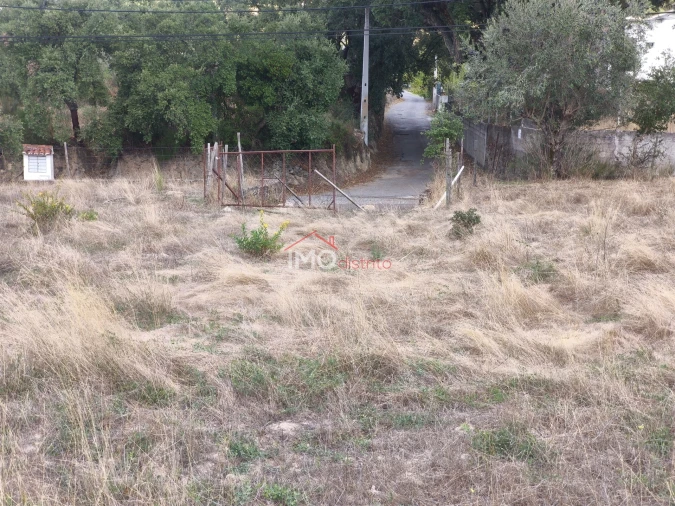 Quinta T0 para Venda em Sé e São Lourenço Foto 5