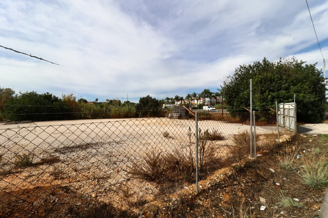 Terreno Agricola ou Rústico para Arrendamento em Guia Foto 2