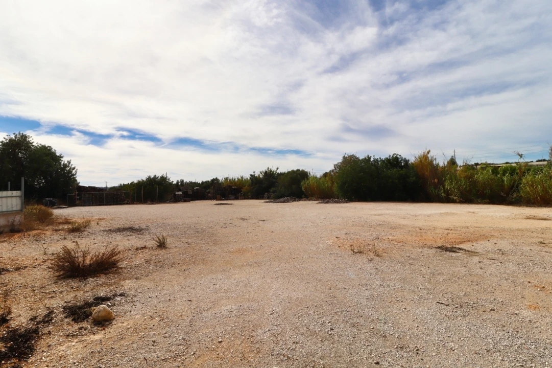 Terreno Agricola ou Rústico para Arrendamento em Guia Foto 5