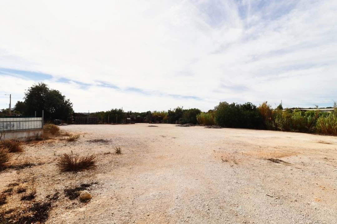 Terreno Agricola ou Rústico para Arrendamento em Guia Foto 8