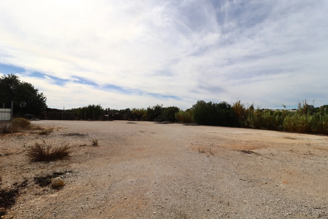 Terreno Agricola ou Rústico para Arrendamento em Guia Foto 6
