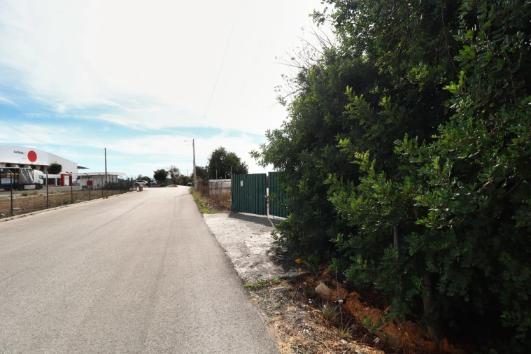 Terreno Agricola ou Rústico para Arrendamento em Guia Foto 4