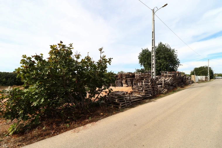 Terreno Agricola ou Rústico para Arrendamento em Guia Foto 16
