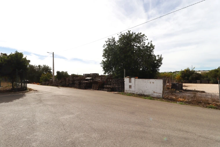 Terreno Agricola ou Rústico para Arrendamento em Guia Foto 12