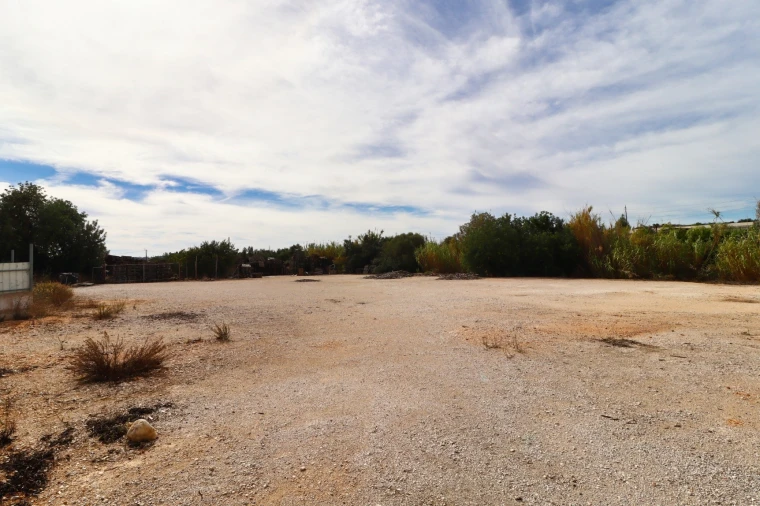 Terreno Agricola ou Rústico para Arrendamento em Guia Foto 5