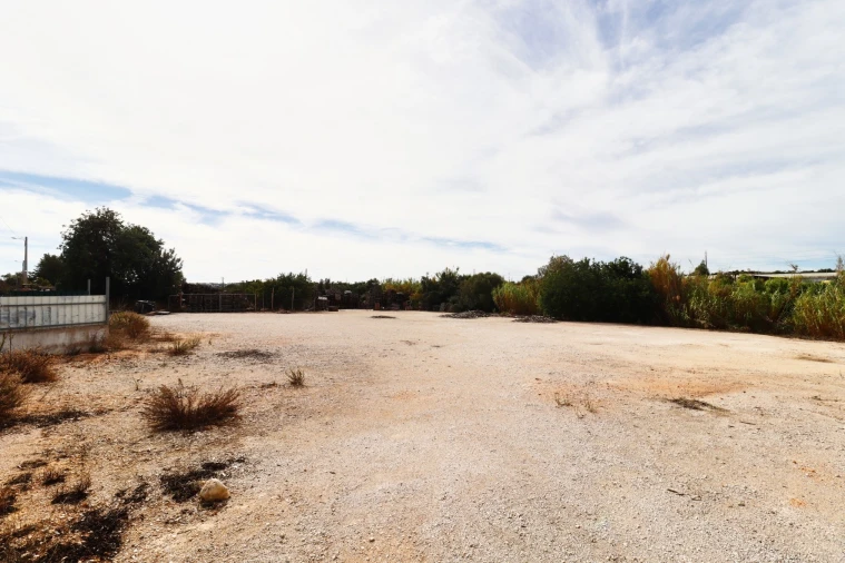 Terreno Agricola ou Rústico para Arrendamento em Guia Foto 8