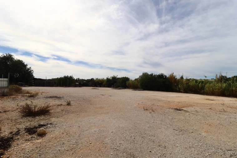Terreno Agricola ou Rústico para Arrendamento em Guia Foto 6