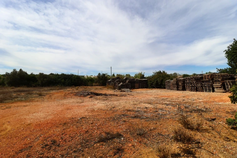 Terreno Agricola ou Rústico para Arrendamento em Guia Foto 13