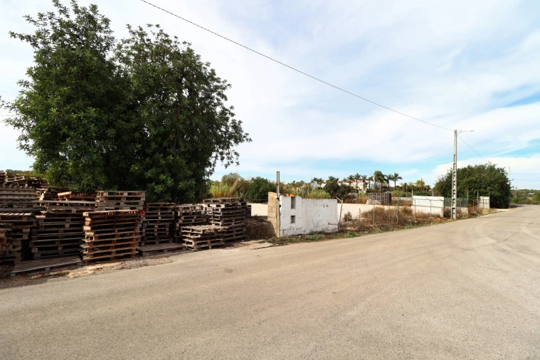 Terreno Agricola ou Rústico para Arrendamento em Guia Foto 3