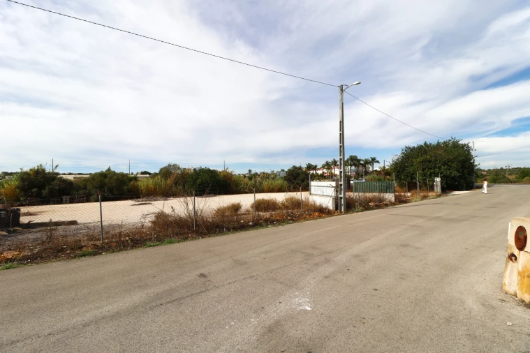 Terreno Agricola ou Rústico para Arrendamento em Guia Foto 11