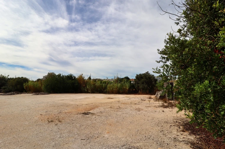 Terreno Agricola ou Rústico para Arrendamento em Guia Foto 7