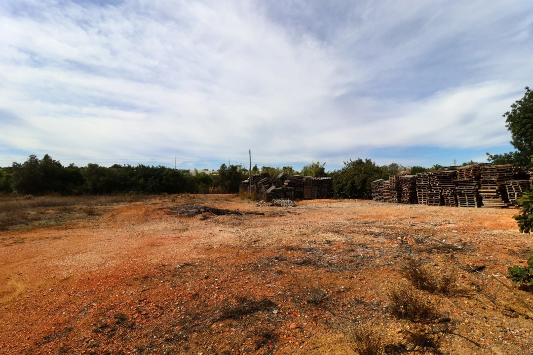 Terreno Agricola ou Rústico para Arrendamento em Guia Foto 13