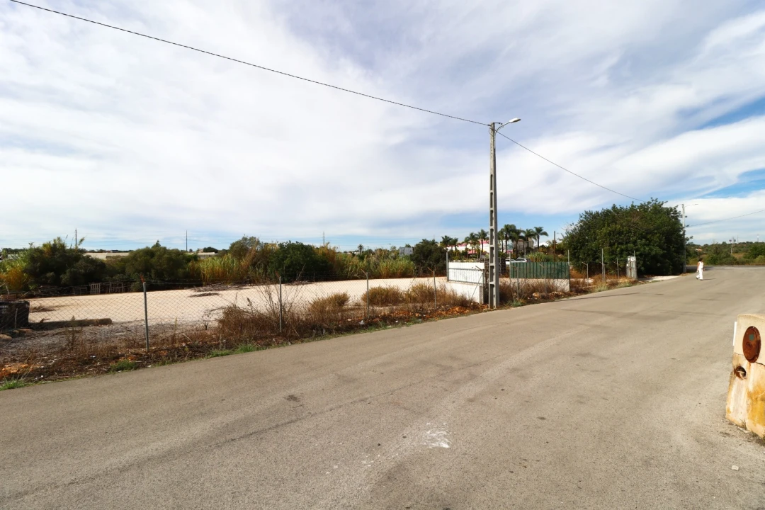 Terreno Agricola ou Rústico para Arrendamento em Guia Foto 11