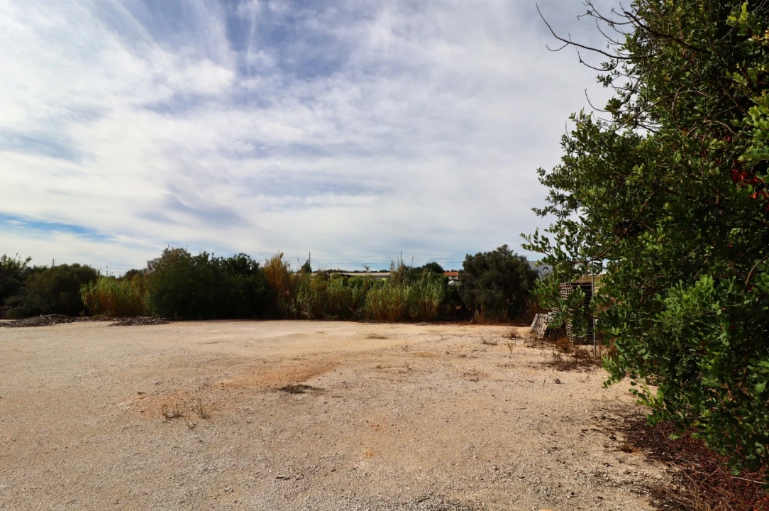 Terreno Agricola ou Rústico para Arrendamento em Guia Foto 7