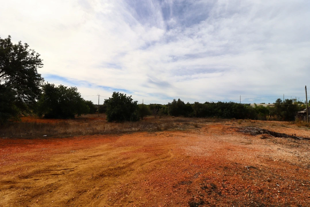 Terreno Agricola ou Rústico para Arrendamento em Guia Foto 14