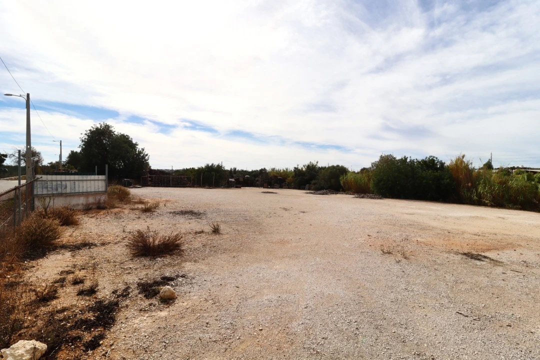 Terreno Agricola ou Rústico para Arrendamento em Guia Foto 9