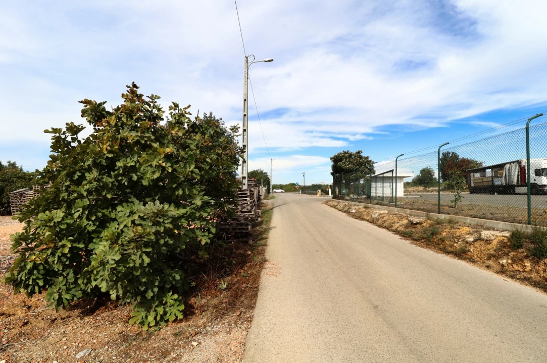 Terreno Agricola ou Rústico para Arrendamento em Guia Foto 15
