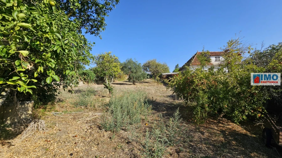 Moradia T6 para Venda em Benquerenças Foto 20