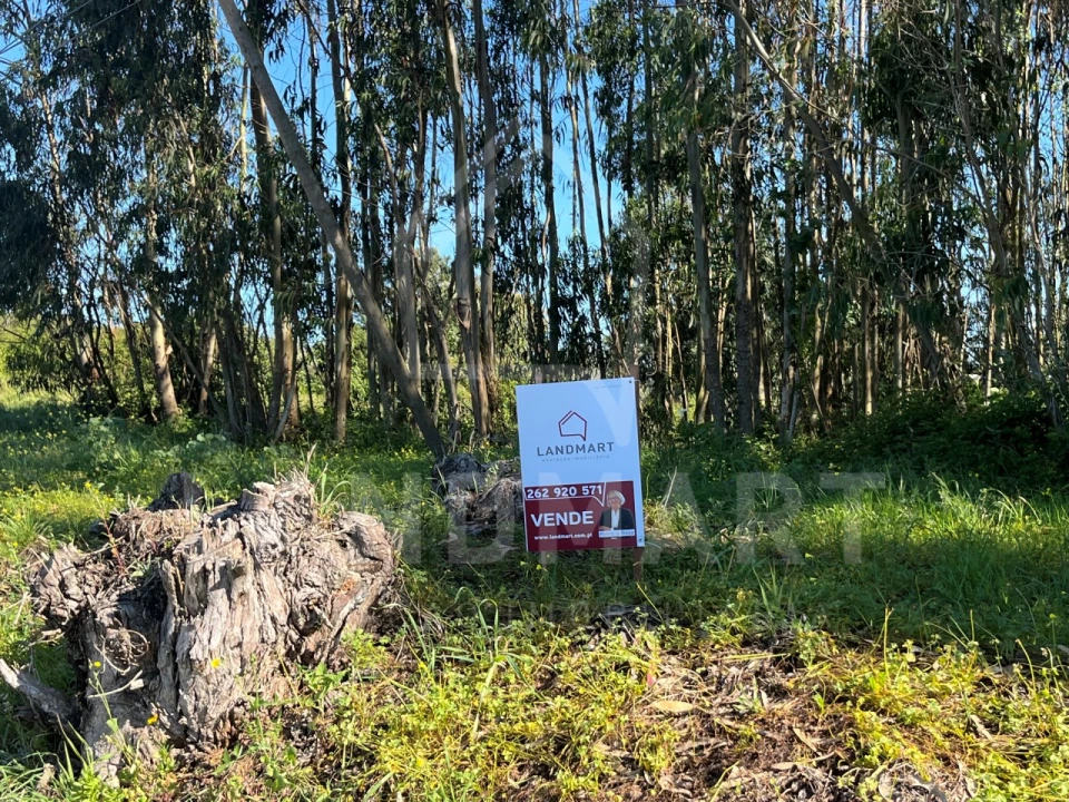 Terreno Agricola ou Rústico para Venda em Alvorninha Foto 1