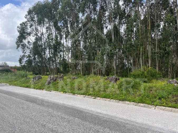 Terreno Agricola ou Rústico para Venda em Alvorninha Foto 2