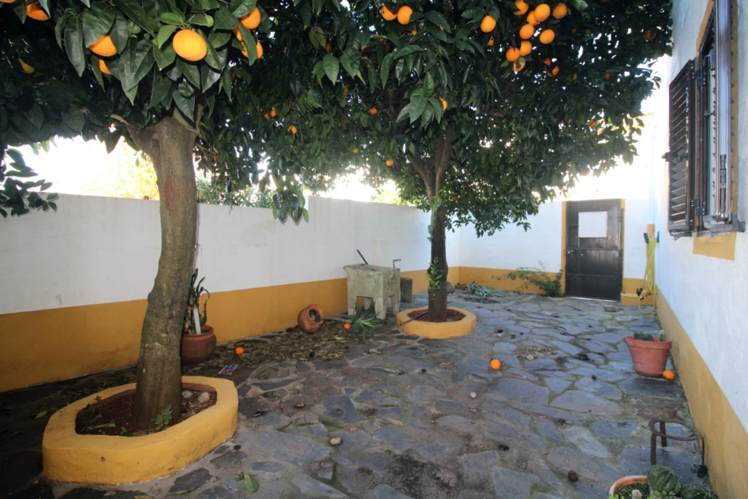 Moradia T3 para Venda em Alter do Chão Foto 2