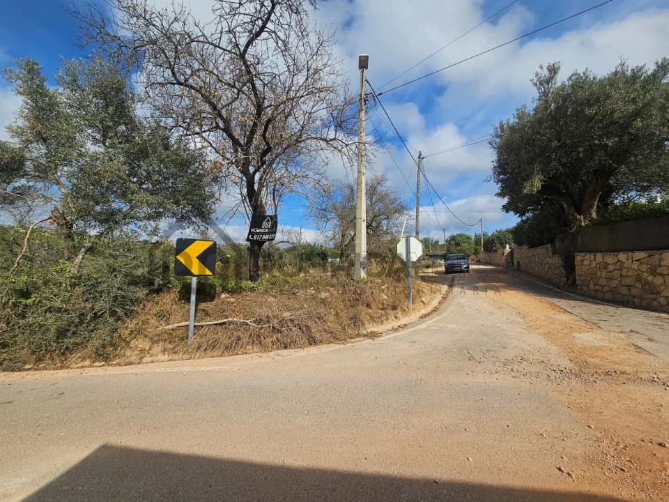 Terreno Agricola ou Rústico para Venda em Loule (São Sebastião) Foto 7