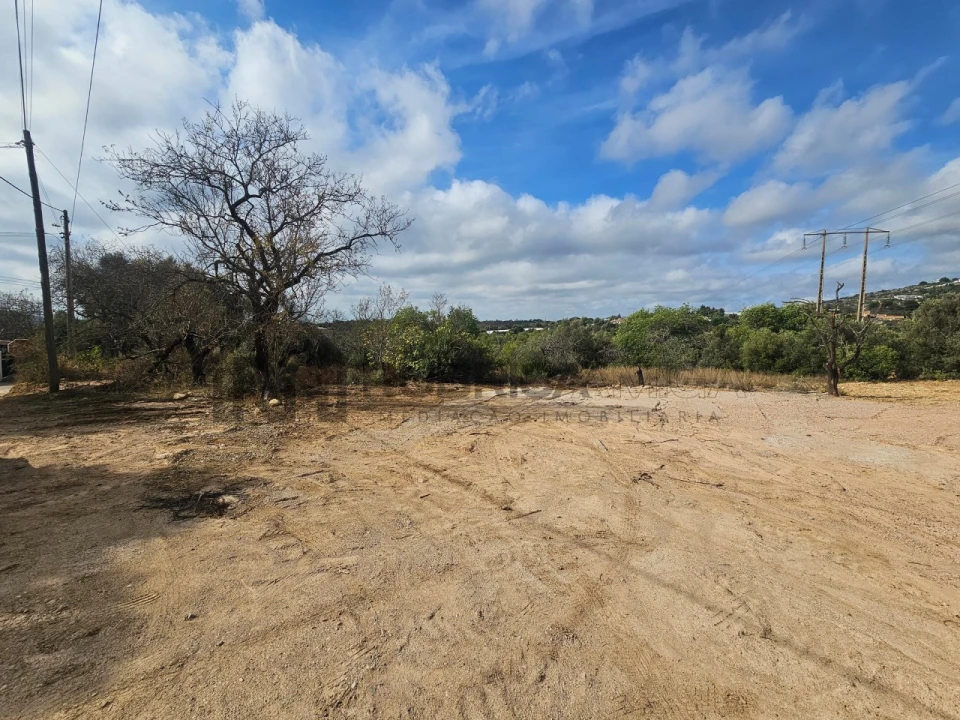 Terreno Agricola ou Rústico para Venda em Loule (São Sebastião) Foto 8