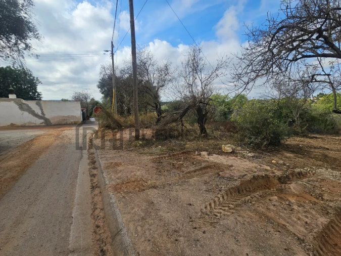 Terreno Agricola ou Rústico para Venda em Loule (São Sebastião) Foto 2
