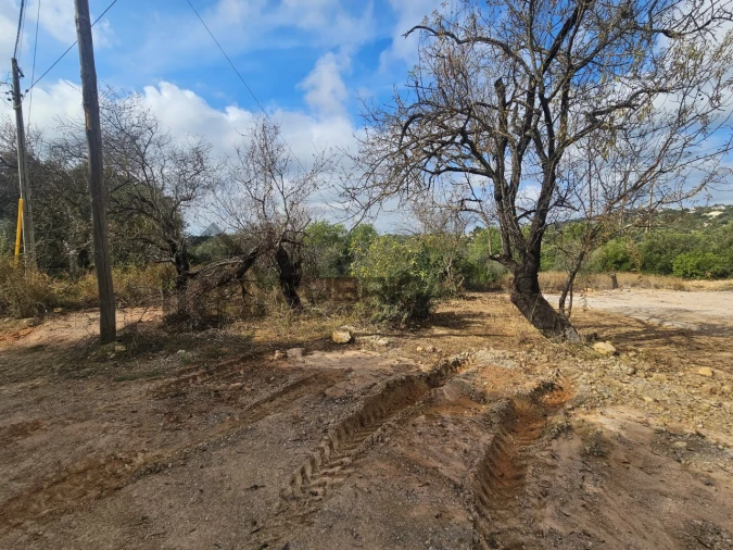 Terreno Agricola ou Rústico para Venda em Loule (São Sebastião) Foto 4