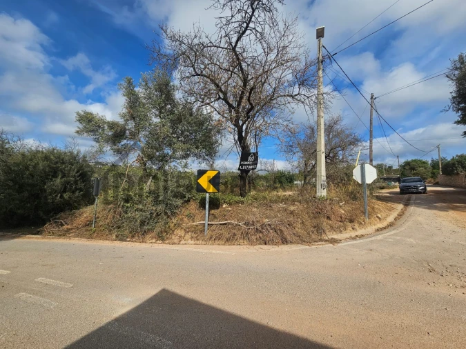 Terreno Agricola ou Rústico para Venda em Loule (São Sebastião) Foto 5