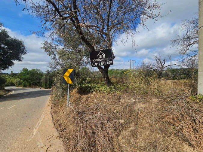 Terreno Agricola ou Rústico para Venda em Loule (São Sebastião) Foto 6