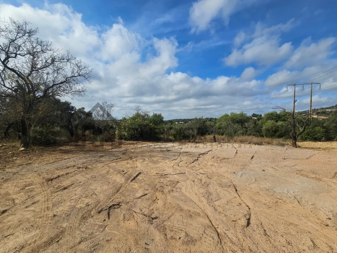 Terreno Agricola ou Rústico para Venda em Loule (São Sebastião) Foto 9