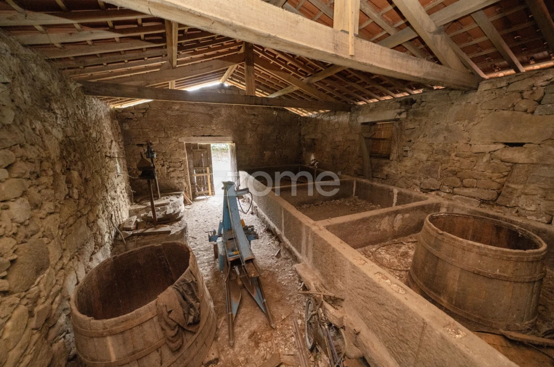 Quinta T8 para Venda em Covelas Foto 18