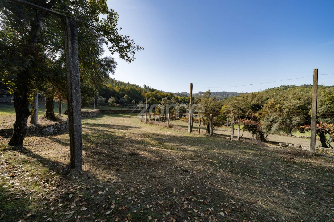 Quinta T8 para Venda em Covelas Foto 30