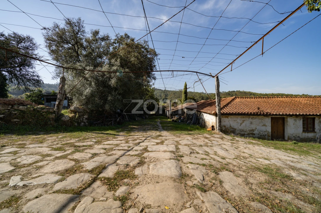 Quinta T8 para Venda em Covelas Foto 35