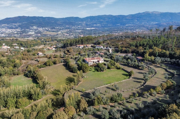 Quinta T8 para Venda em Covelas Foto 24