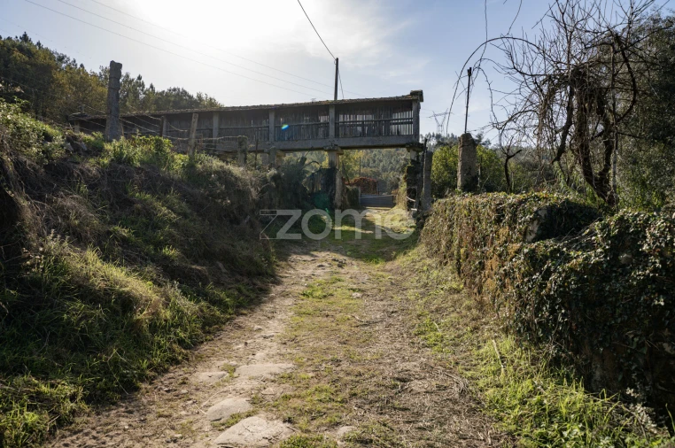 Quinta T8 para Venda em Covelas Foto 1