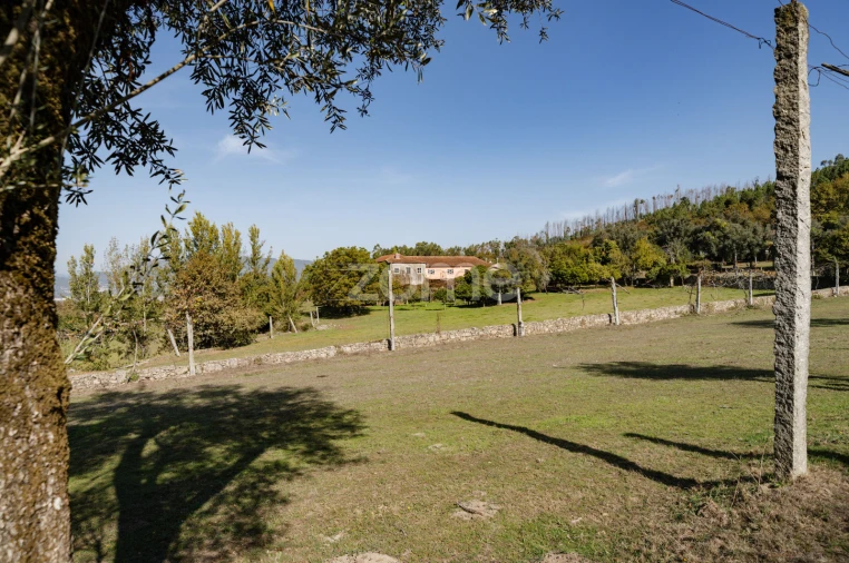 Quinta T8 para Venda em Covelas Foto 33