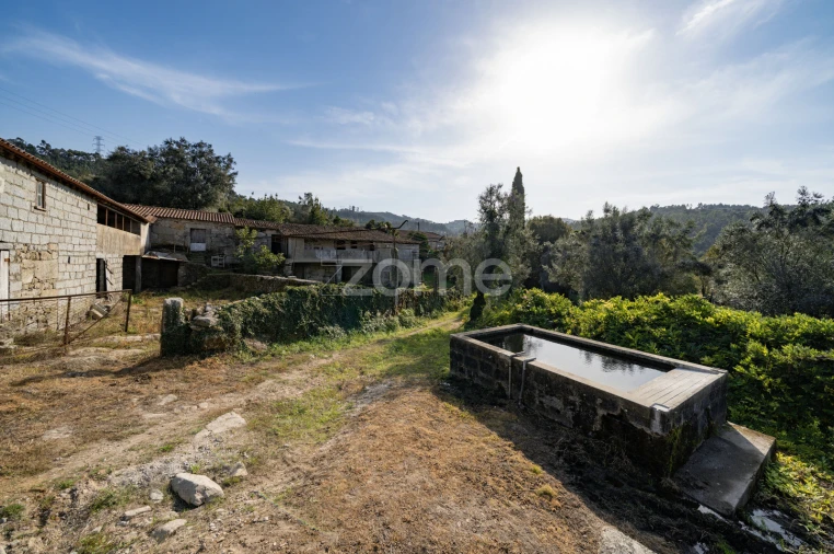 Quinta T8 para Venda em Covelas Foto 35