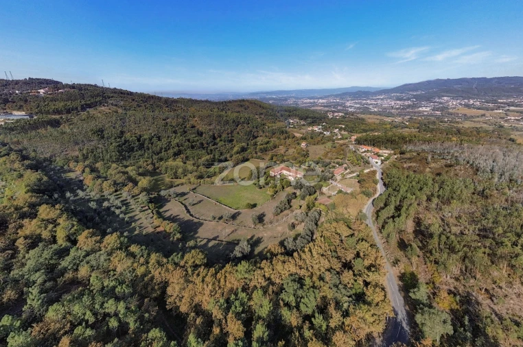 Quinta T8 para Venda em Covelas Foto 39